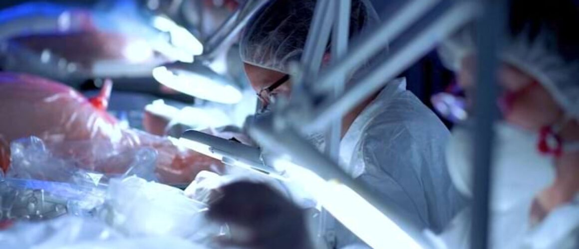 <i>attualita</i>-–-gvs-di-slancio-dopo-i-risultati-del-2022-e-una-guidance-convincente
