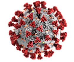 Coronavirus