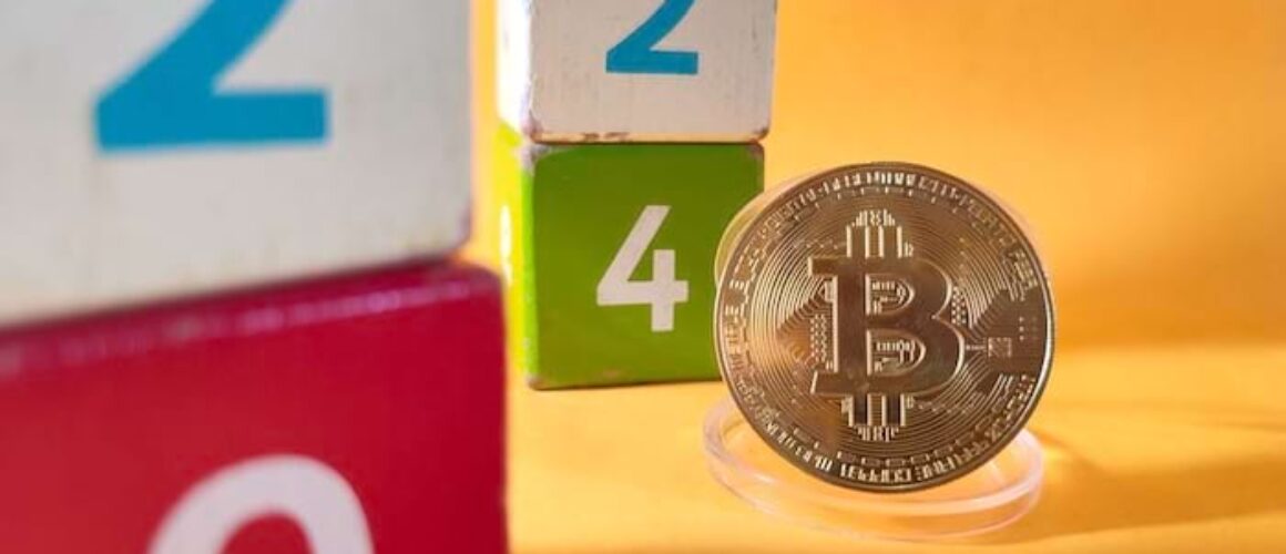 un-2024-ancora-da-protagonisti-per-il-bitcoin-e-le-criptovalute